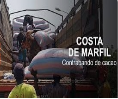 Costa de Marfil: el contrabando de cacao.